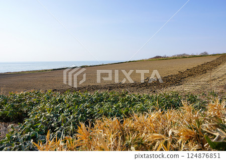 春天的田野，地平線一覽無遺（北海道石漾市熱田區） 124876851