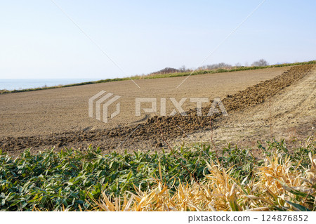 春天的田野，地平線一覽無遺（北海道石漾市熱田區） 124876852
