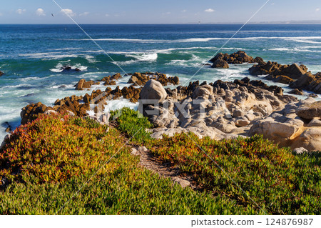 Coastal landscape in California 124876987
