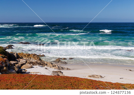 Coastal landscape in California 124877136