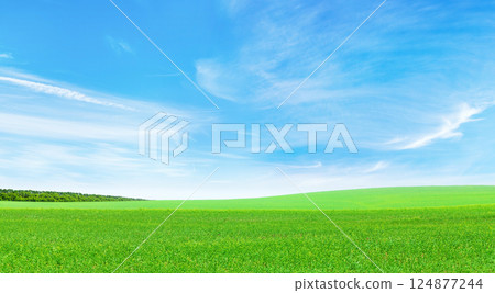 Summer landscape with a vast green field under a majestic sky 124877244
