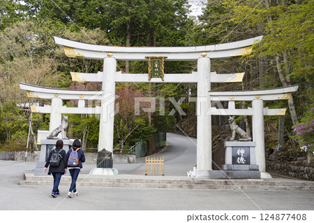 Mitsumine Shrine Mitsu Torii 124877408