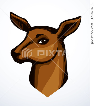 Beautiful noble deer. Vector drawing 124877613