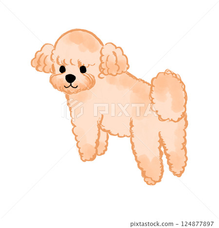 毛茸茸的玩具貴賓犬插圖 124877897