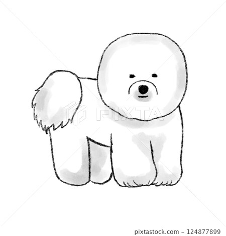 Illustration of Bichon Frize 124877899