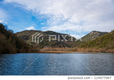 Trees and reeds on River Crnojevica, place near Lake Skadar in Montenegro surrounded by mountain peaks in winter time 124877967