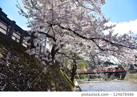 Spring in Takayama, Gifu Prefecture, Japan: Cherry blossoms in full bloom, tourist attractions Nakabashi Bridge and Miyagawa River, surrounding cityscape and beautiful blue sky 124878486