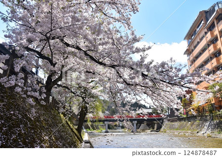 Spring in Takayama, Gifu Prefecture, Japan: Cherry blossoms in full bloom, tourist attractions Nakabashi Bridge and Miyagawa River, surrounding cityscape and beautiful blue sky 124878487