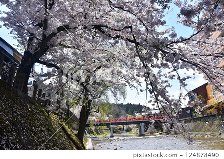 日本岐阜縣高山市的春天：盛開的櫻花、旅遊景點中橋和宮川、周圍的城市景觀和美麗的藍天 124878490