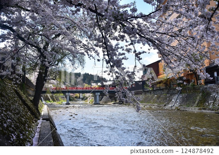 日本岐阜縣高山市的春天：盛開的櫻花、旅遊景點中橋和宮川、周圍的城市景觀和美麗的藍天 124878492
