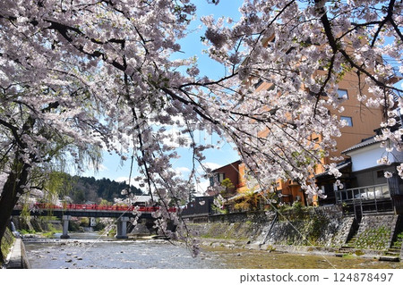 日本岐阜縣高山市的春天：盛開的櫻花、旅遊景點中橋和宮川、周圍的城市景觀和美麗的藍天 124878497