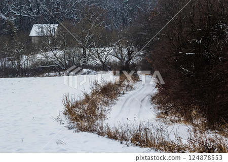Snow-covered path leading to a small house surrounded by trees in a tranquil winter landscape 124878553