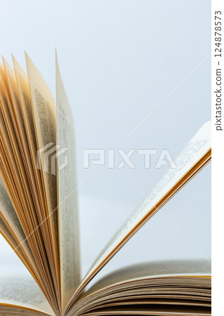 Open old book with text on white background. The concept of reading literature, education and book publishing. Free space for text Open old book with text on white background. The concept of reading literature, education and book publishing. Free space for text 124878573