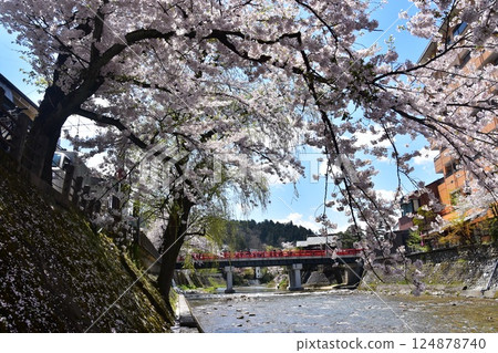 Spring in Takayama, Gifu Prefecture, Japan: Cherry blossoms in full bloom, tourist attractions Nakabashi Bridge and Miyagawa River, surrounding cityscape and beautiful blue sky Spring in Takayama, Gifu Prefecture, Japan: Cherry blossoms in full bloom, tourist attractions Nakabashi Bridge and Miyagawa River, surrounding cityscape and beautiful blue sky 124878740