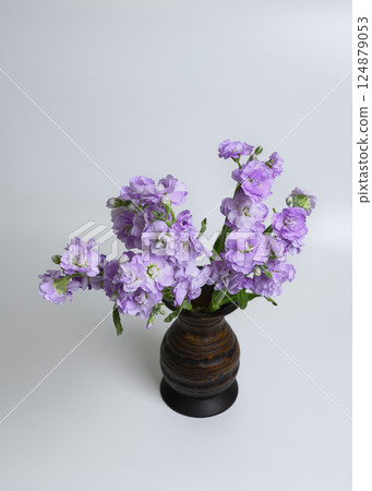 Mattiola lilac in a wooden vase on a white background 124879053