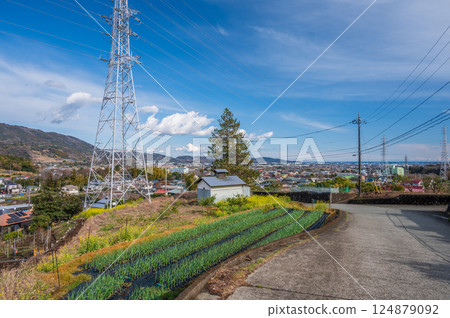春天的鄉村景色,油菜花盛開。鄉村風光與城市景觀。 春天的鄉村景色,油菜花盛開。鄉村風光與城市景觀。 124879092