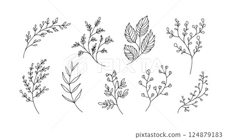Bold silhouette botanical element. A bold silhouette botanical element with high contrast leaf and plant shapes. 124879183