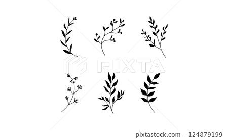 Bold silhouette botanical element. A bold silhouette botanical element with high contrast leaf and plant shapes. 124879199
