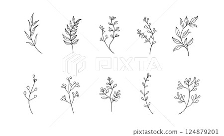 A hand-sketched botanical element with light, airy strokes and natural flow. A hand-sketched botanical element with light, airy strokes and natural flow. 124879201