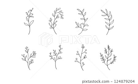 A hand-sketched botanical element with light, airy strokes and natural flow. A hand-sketched botanical element with light, airy strokes and natural flow. 124879204