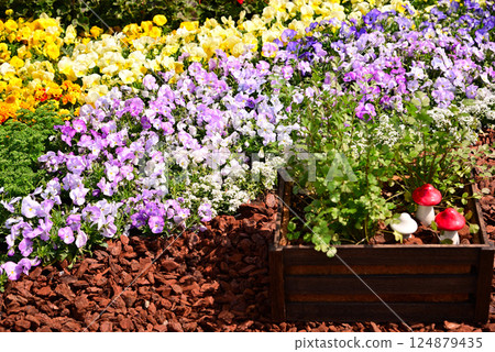 春季花壇,各種花朵盛開 春季花壇,各種花朵盛開 124879435