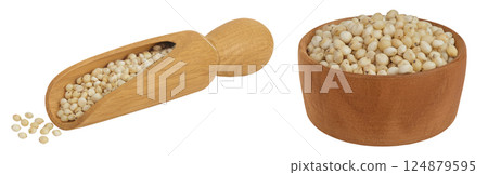 Sorghum seeds in wooden bowl and scoop isolated on white background with full depth of field. 124879595