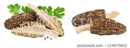 raw morel mushroom isolated on white background with full depth of field raw morel mushroom isolated on white background with full depth of field 124879603