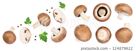 Royal Brown champignon with leaf parsley isolated on white background. Top view with copy space for your text. Flat lay Royal Brown champignon with leaf parsley isolated on white background. Top view with copy space for your text. Flat lay 124879622