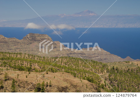 Gran Canaria and island of Tenerife. Gran Canaria and island of Tenerife. 124879764