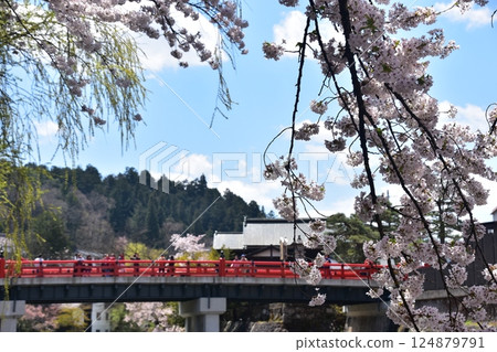 日本岐阜縣高山市的春天。盛開的櫻花、旅遊景點中橋和美麗的藍天。遊客觀賞櫻花。 124879791