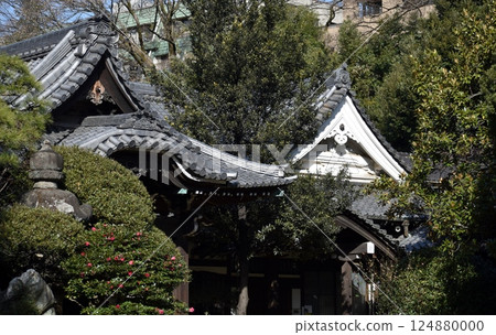 極寒天氣下的國家歷史遺址“東禪寺” 124880000