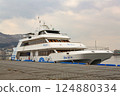 Cruise ship in port 124880334