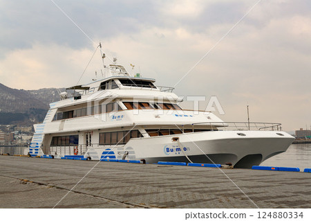 Cruise ship in port 124880334