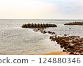Sea and tetrapod 124880346