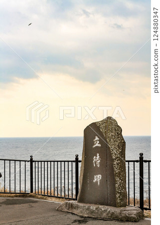 Hakodate Risukibuki 124880347