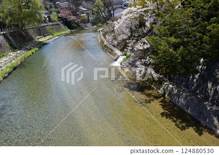 日本岐阜縣高山市的春天。從旅遊景點中橋橋頂看到的景色。盛開的櫻花和周圍的城鎮景觀。美麗的新綠和宮川。 日本岐阜縣高山市的春天。從旅遊景點中橋橋頂看到的景色。盛開的櫻花和周圍的城鎮景觀。美麗的新綠和宮川。 124880530