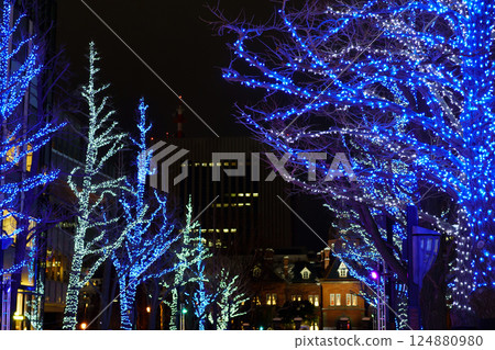 舊北海道政府辦公大樓「紅磚辦公室」前的亮燈樹 124880980