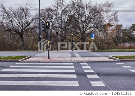Crossing for pedestrians 124881331