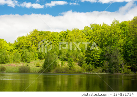 lake among forest in spring. landscape with beech trees in green foliage near water. recreation scenery in carpathian mountain on a sunny day. calm nature background for fishing in ukraine 124881734