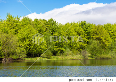 lake among forest in spring. landscape with beech trees in green foliage near water. recreation scenery in carpathian mountain on a sunny day. calm nature background for fishing in ukraine 124881735
