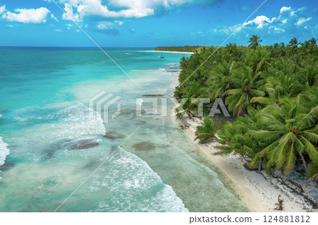 Tropical Caribbean beach from above, Dominican Republic Tropical Caribbean beach from above, Dominican Republic 124881812