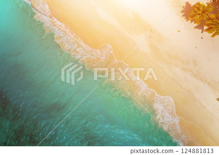 Tropical carribbean beach, aerial abstract background 124881813