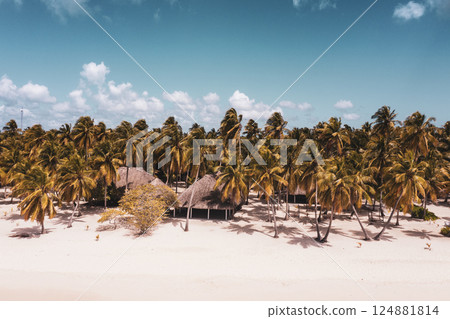 Tropical Caribbean beach, Dominican Republic Tropical Caribbean beach, Dominican Republic 124881814