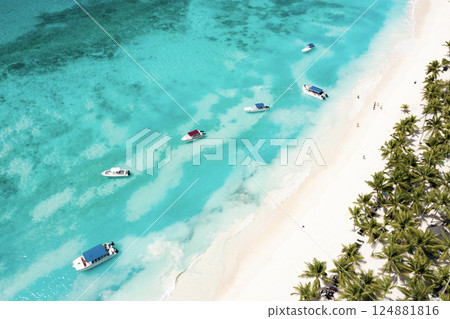 Tropical Caribbean beach from above, Dominican Republic 124881816