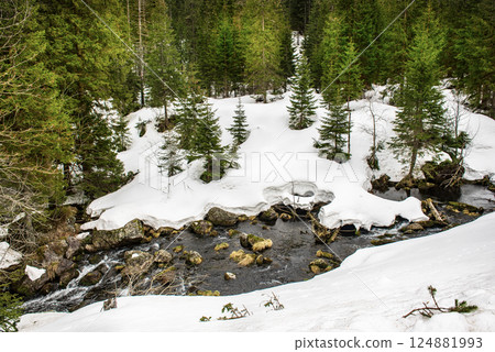 Mountain fir forest and the river near Morskie Oko Lake in Poland at Winter. Tatras mountains 124881993