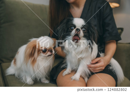 woman on couch interacting with two dog, in a cozy home environment concept of pet care, home decor, lifestyle blogs woman on couch interacting with two dog, in a cozy home environment concept of pet care, home decor, lifestyle blogs 124882802