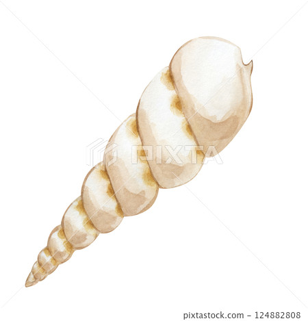 Watercolor seashell isolated on a white background. The hand-drawn illustration is perfect for any marine-style design and summer vacation. Watercolor seashell isolated on a white background. The hand-drawn illustration is perfect for any marine-style design and summer vacation. 124882808