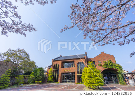 Cherry blossoms in full bloom and Club Harie Himureikan (Omihachiman City, Shiga Prefecture) Cherry blossoms in full bloom and Club Harie Himureikan (Omihachiman City, Shiga Prefecture) 124882936