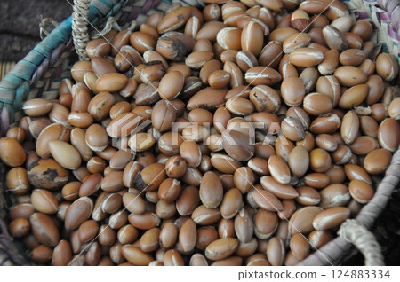 Morocco, Kasbah Road, Argan nuts, Argan oil shop, specialty products Morocco, Kasbah Road, Argan nuts, Argan oil shop, specialty products 124883334