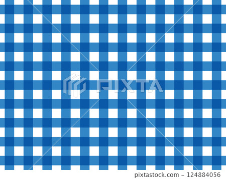 blue gingham check 124884056